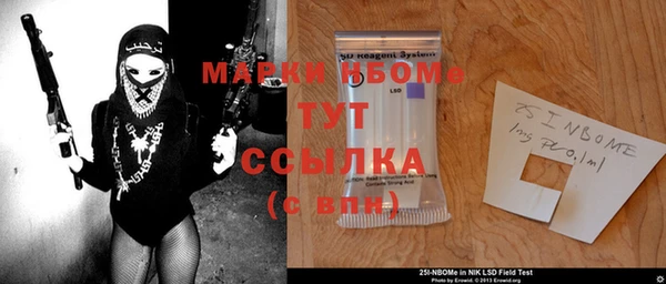 ГАЛЛЮЦИНОГЕННЫЕ ГРИБЫ Богданович