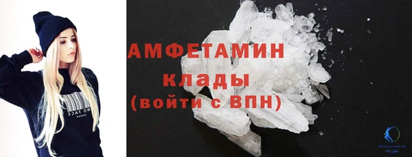 ГАЛЛЮЦИНОГЕННЫЕ ГРИБЫ Богданович