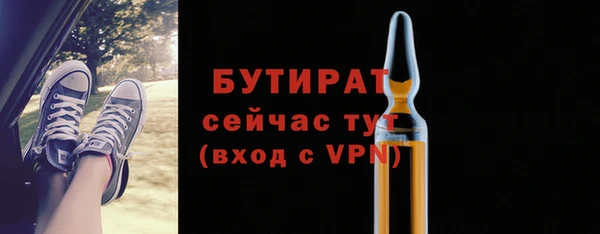 ГАЛЛЮЦИНОГЕННЫЕ ГРИБЫ Богданович