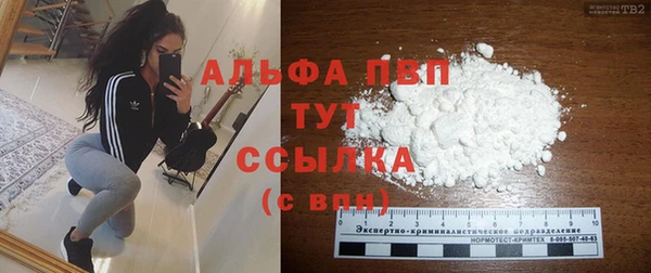ГАЛЛЮЦИНОГЕННЫЕ ГРИБЫ Богданович