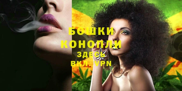 экстази Богородицк