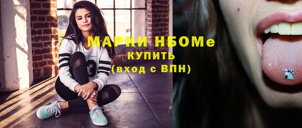 ГАЛЛЮЦИНОГЕННЫЕ ГРИБЫ Богданович