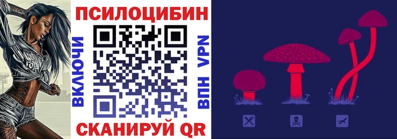 Галлюциногенные грибы Cubensis  Красавино 