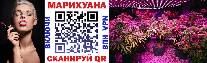 Канабис гибрид Красавино